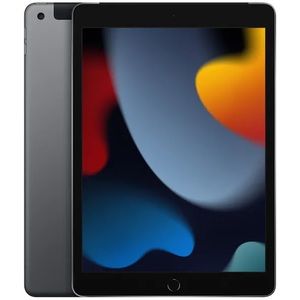 Apple IPad Gray. 9th Generation.